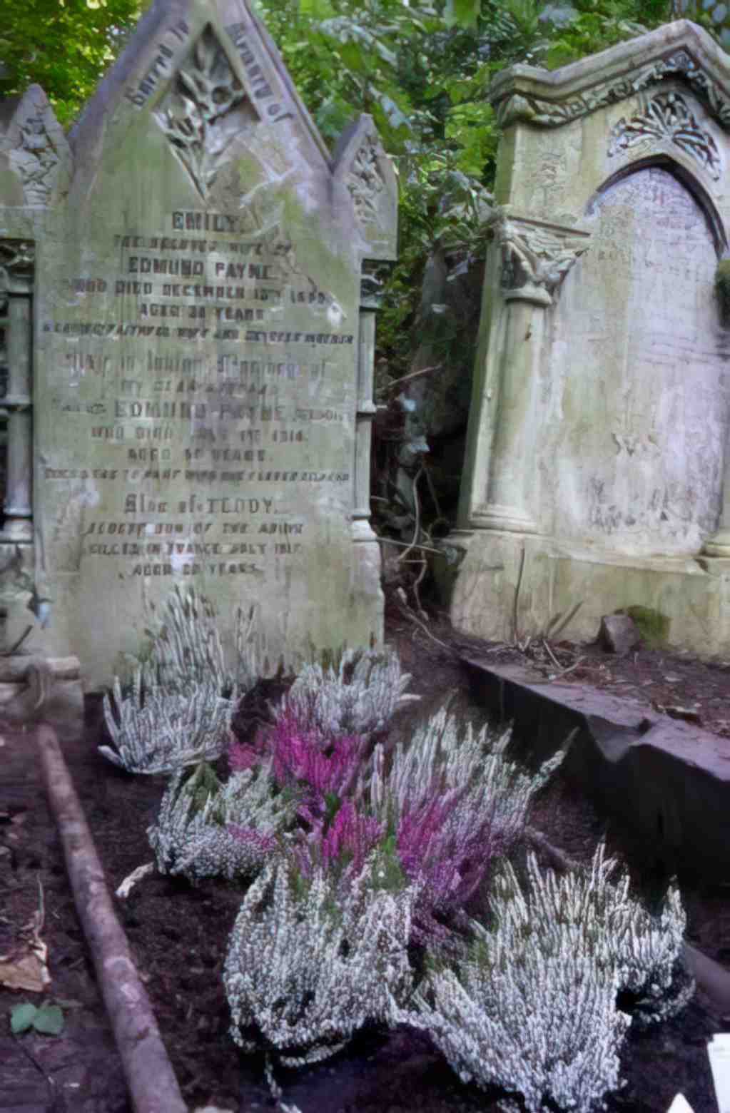 Edmund Paynes grave tidied up in Oct 2009 Vintage A4 Photo Print