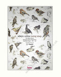 Edwyn Collins Birds Vintage Retro Advert Poster A4 Photo Print