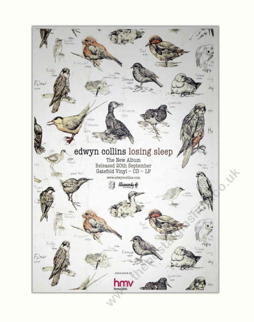 Edwyn Collins Birds Vintage Retro Advert Poster A4 Photo Print