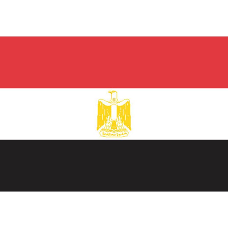 Egypt Flag N1724 A4 Photo Print