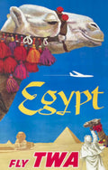 Egypt Twa Camel Vintage Retro Advert Ads A4 Photo Print