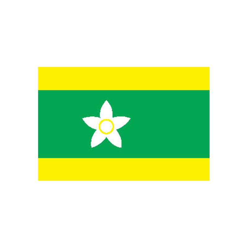 Ehime Pref Flag N2528 A4 Photo Print