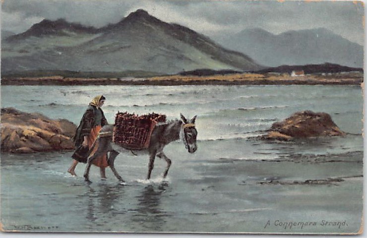 Eire A Connemara Strand Galway Vintage A4 Photo Print
