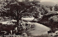 Eire Ireland Derrycunnihy Killarney National Park Vintage A4 Photo Print