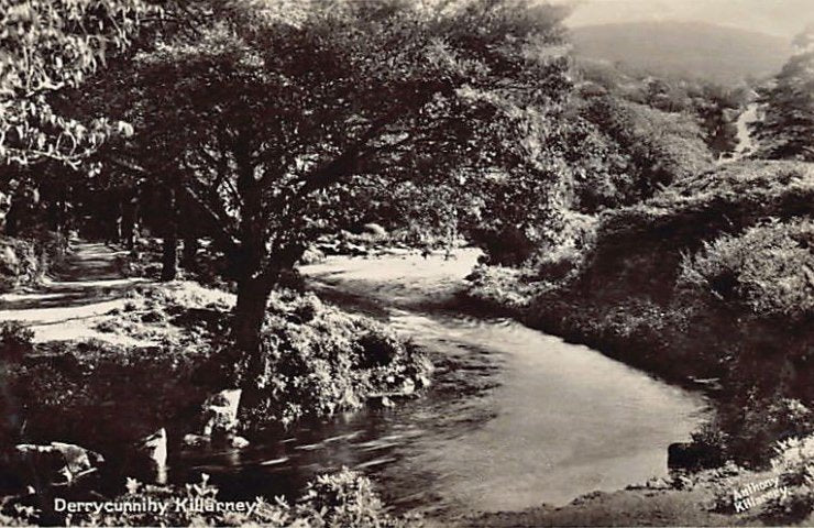 Eire Ireland Derrycunnihy Killarney National Park Vintage A4 Photo Print