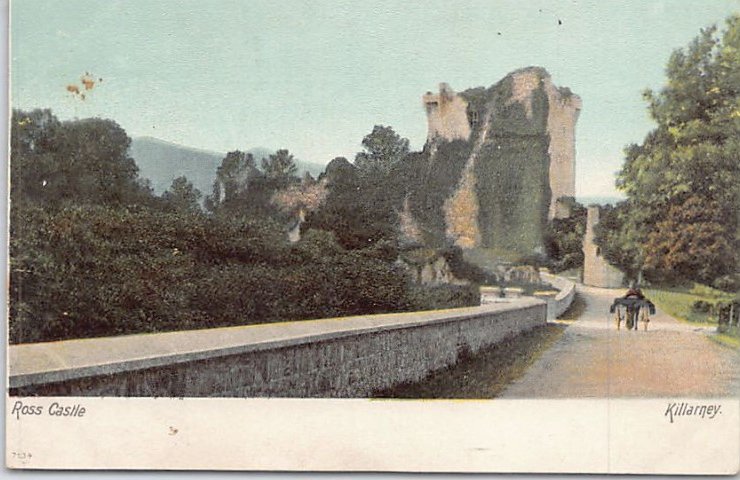 Eire Killarney Kerry Ross Castle Vintage A4 Photo Print