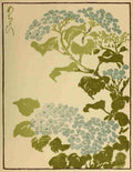 Eisen Keisai 1790 1848 Hydrangea The Studio 1904 A4 Photo Print