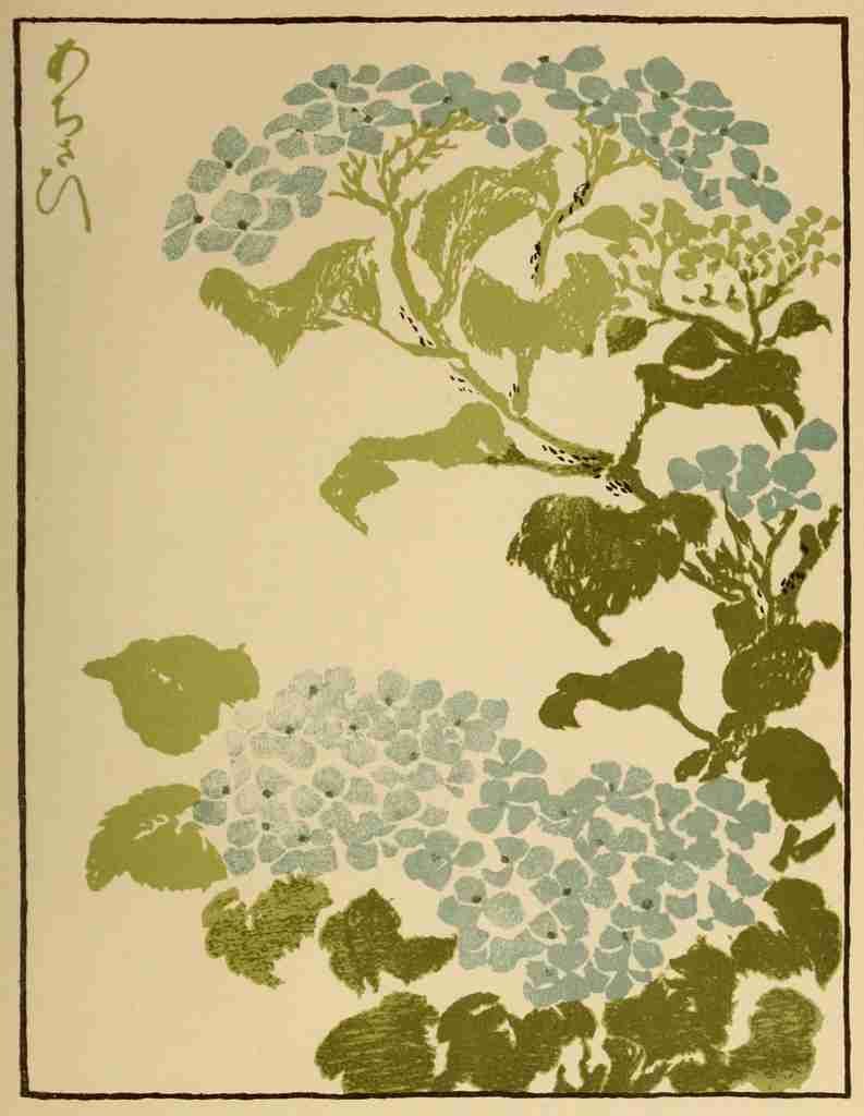 Eisen Keisai 1790 1848 Hydrangea The Studio 1904 A4 Photo Print