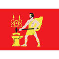 Elektrostal City Flag N2719 A4 Photo Print