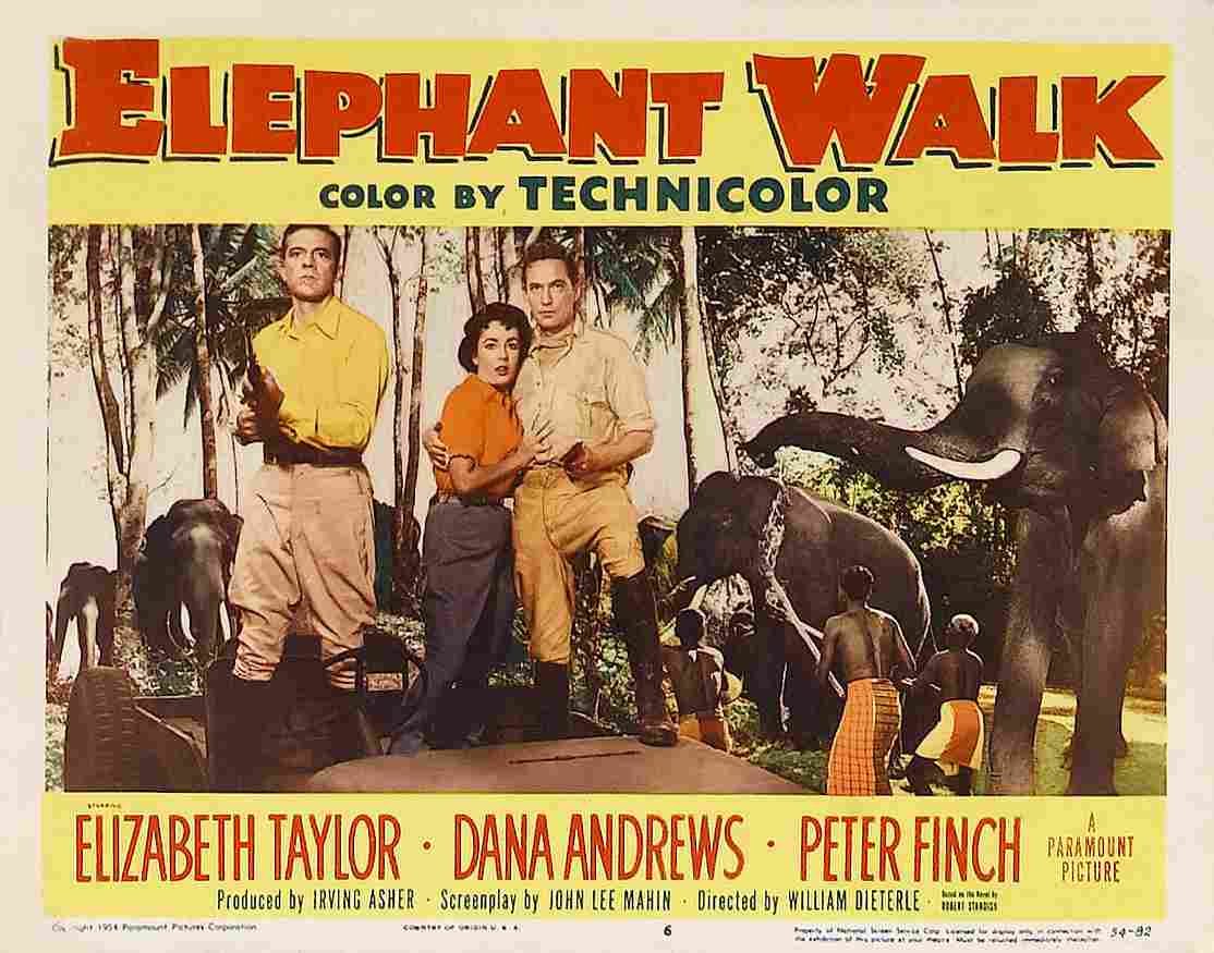 Elephant Walk 09  film star poster A4 Photo Print