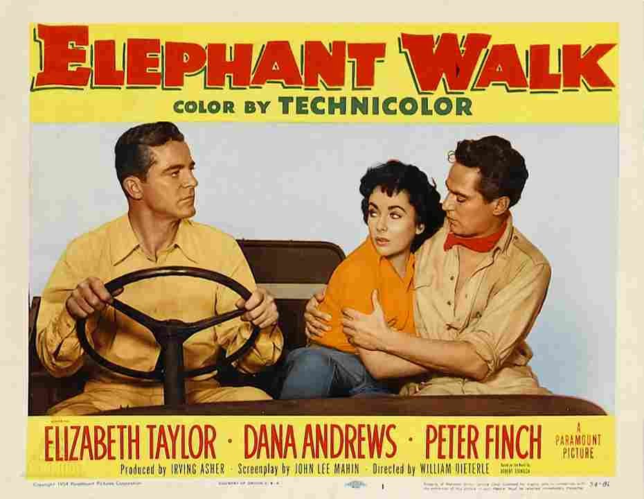 Elephant Walk 12  film star poster A4 Photo Print