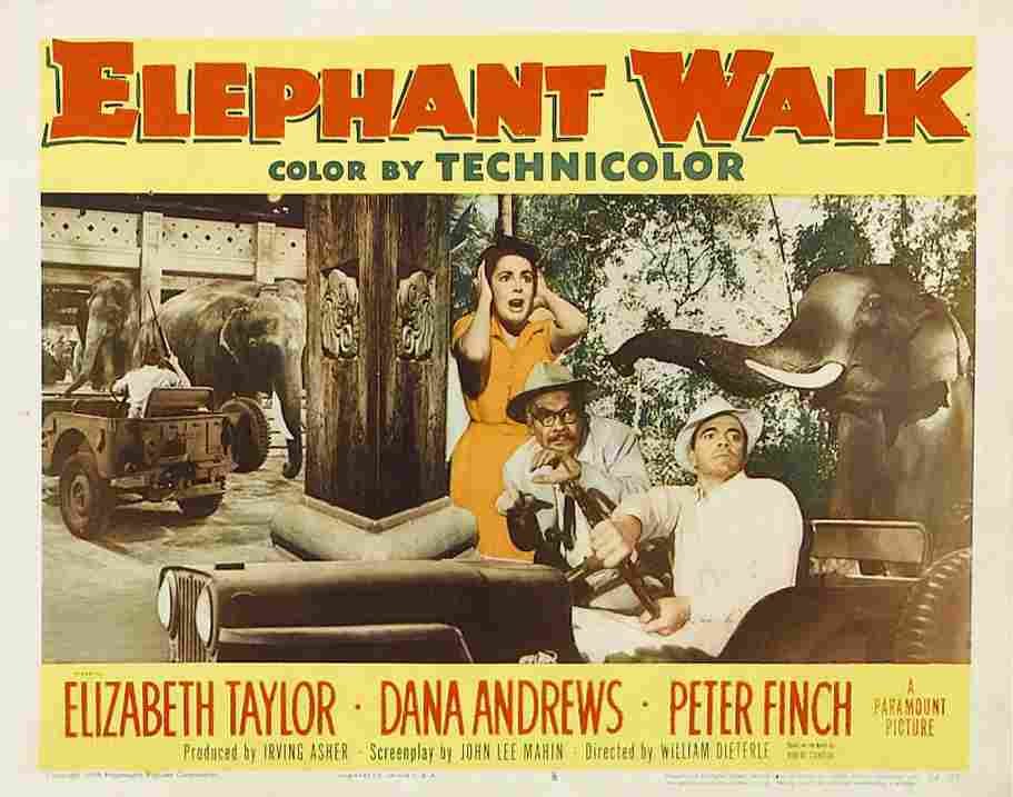 Elephant Walk 13  film star poster A4 Photo Print