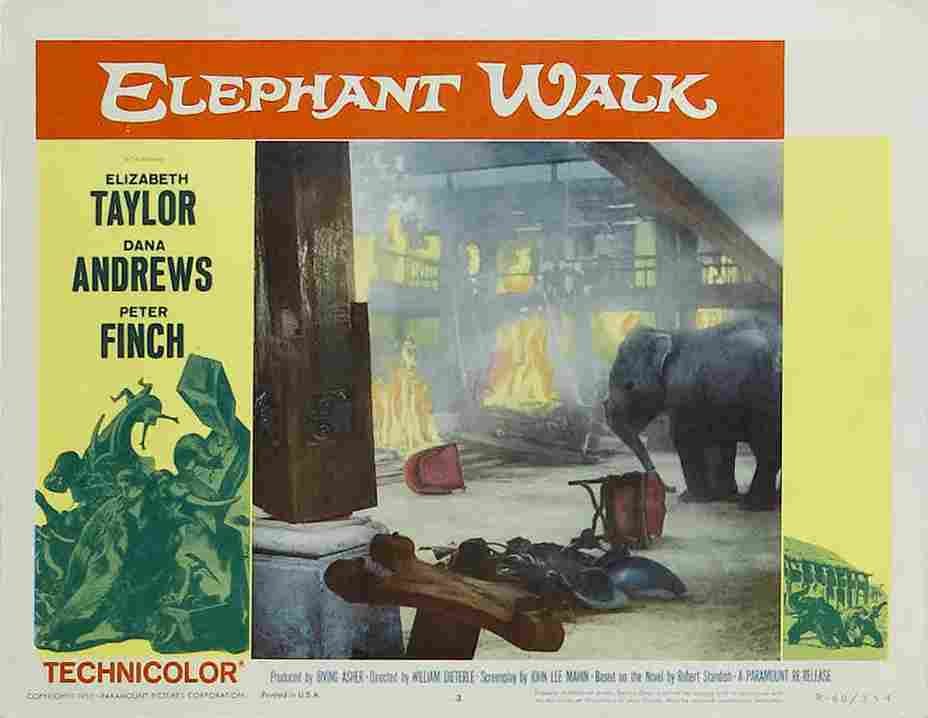 Elephant Walk 14  film star poster A4 Photo Print