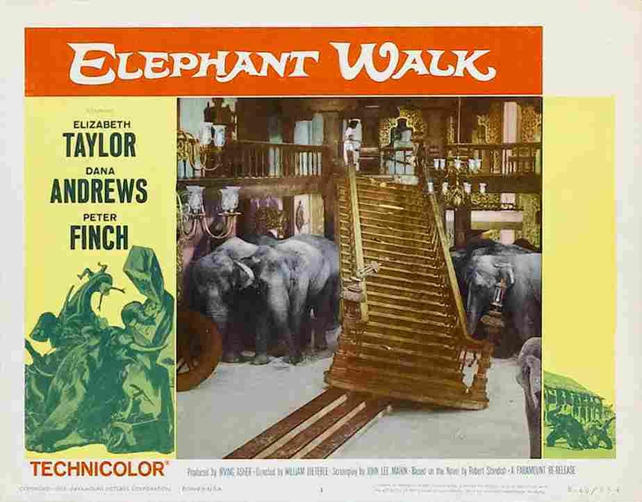 Elephant Walk 19  film star poster A4 Photo Print