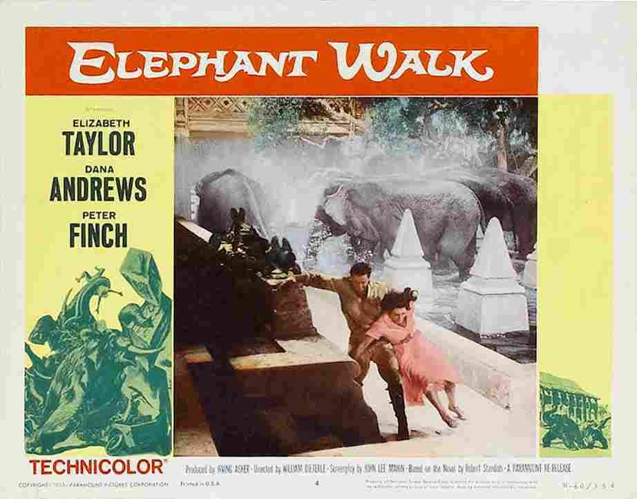Elephant Walk 20  film star poster A4 Photo Print
