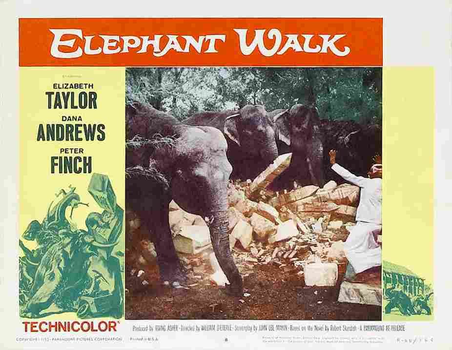 Elephant Walk 21  film star poster A4 Photo Print