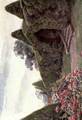 Elgood George S 1851 1943 Gardens of England in the Southern & Western Counties 1907 Yew Arch at Brickwall Sussex Vintage A4 Photo Print