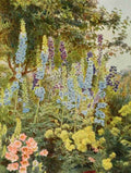 Elgood George S 1851 1943 Old Fashioned Flowers 1906 Larkspur A4 Photo Print