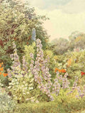 Elgood George S 1851 1943 Some English Gardens 1904 Purple Campanula A4 Photo Print