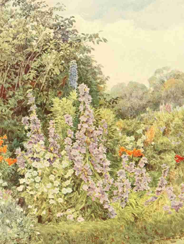 Elgood George S 1851 1943 Some English Gardens 1904 Purple Campanula A4 Photo Print