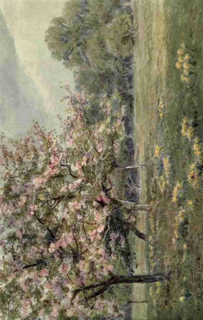 Elgood George S 1851 1943 The Garden that I Love 1906 Apple Blossom A4 Photo Print