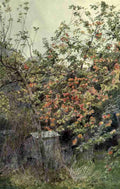 Elgood George S 1851 1943 The Garden that I Love 1906 Apples A4 Photo Print