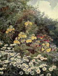 Elgood George S 1851 1943 The Garden that I Love 1906 Evening Primrose A4 Photo Print
