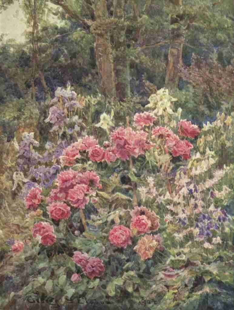 Elgood George S 1851 1943 The Garden that I Love 1906 Peonies & Iris A4 Photo Print