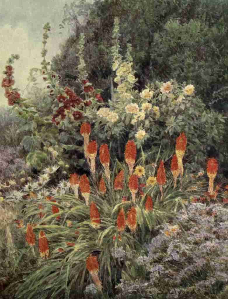 Elgood George S 1851 1943 The Garden that I Love 1906 Torch Lily A4 Photo Print