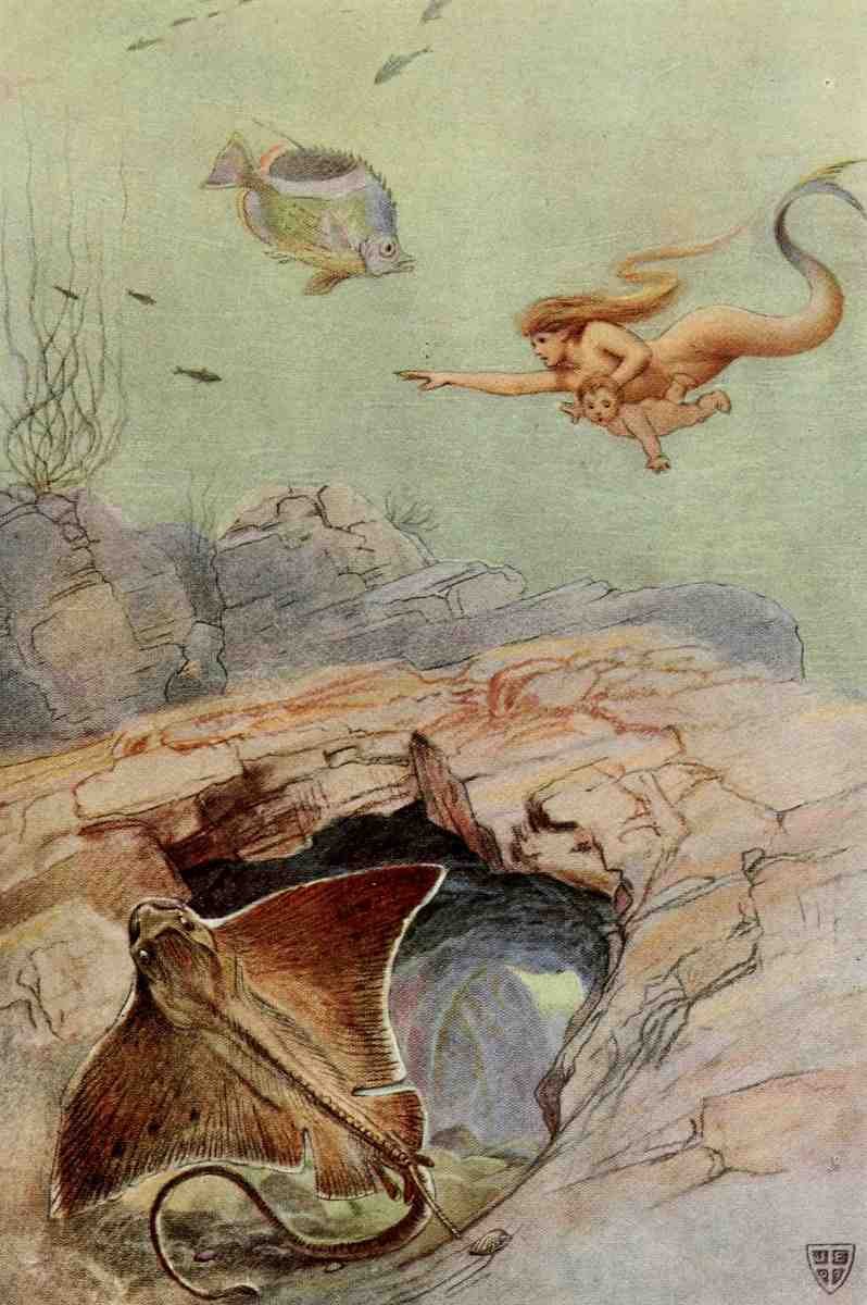 Elliott John 1859 1925 The Great Sea Horse 1909 Merry Jerrys strange visit A4 Photo Print