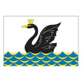 Emanzhelinsk City Flag N4058 A4 Photo Print