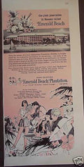 Emerald Beach Plantation Vintage Retro Advert Ads A4 Photo Print