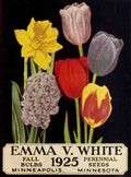 Emma V White Fall bulbs perennial seeds 1925 A4 Photo Print