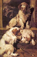 Emms John Clumber Spaniels A4 Photo Print
