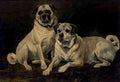 Emms John Pugs A4 Photo Print