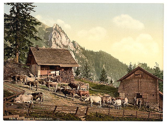 Emsigenalp with Sennhutten Pilatus Vintage A4 Photo Print