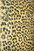 Endpaper British Central Africa 1897 Leopard print 1 A4 Photo Print
