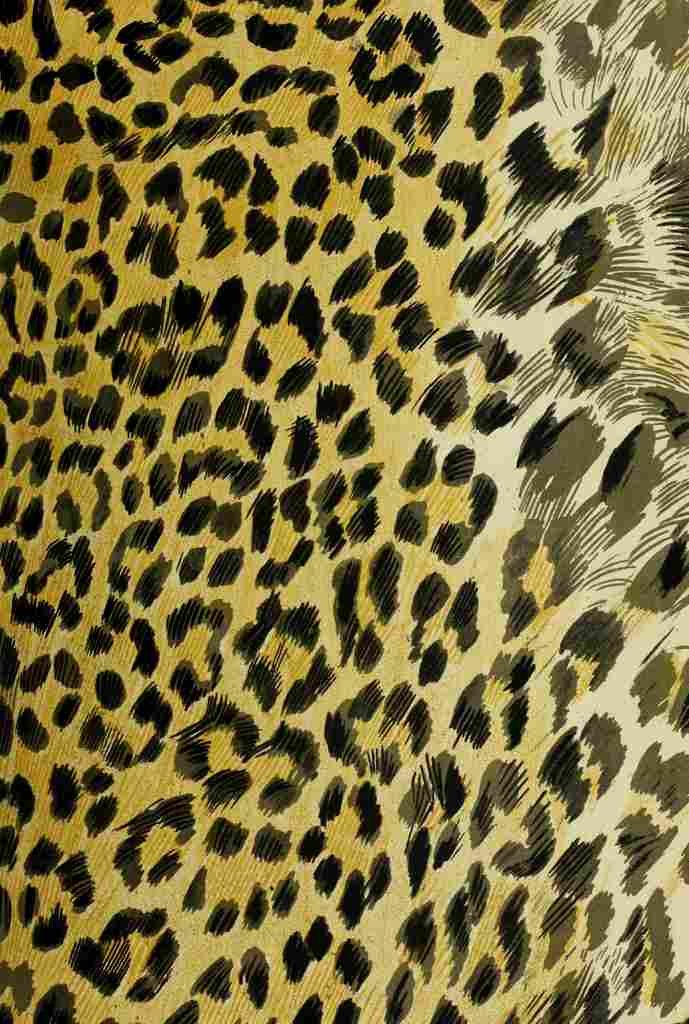 Endpaper British Central Africa 1897 Leopard print 2 A4 Photo Print