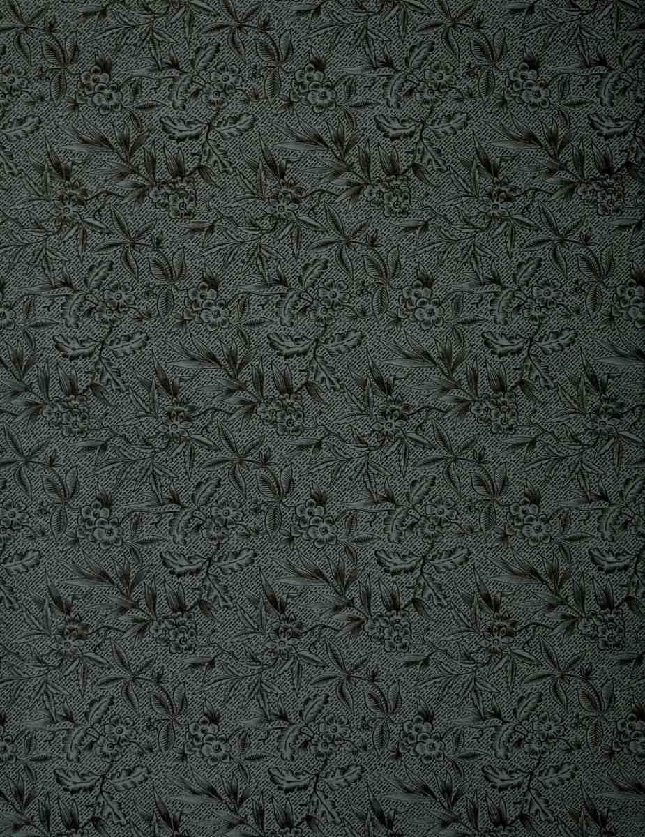 Endpaper Fulness of Joy 1886 A4 Photo Print