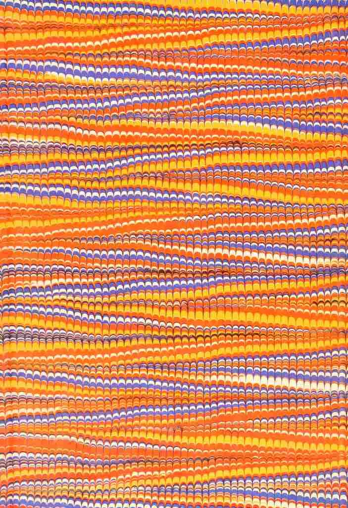 Endpaper The Natural History of Madagascar 1885 Feathered Zig zag A4 Photo Print