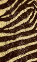 Endpaper The game animals of Africa 1908 Zebra print 2 A4 Photo Print