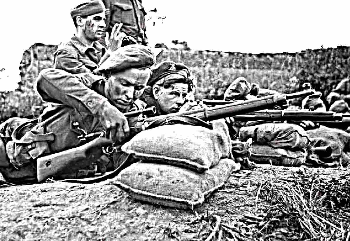 Enfield Pattern 1914 Bolt Action Service Rifle United Kingdom (2) Military A4 Photo Print