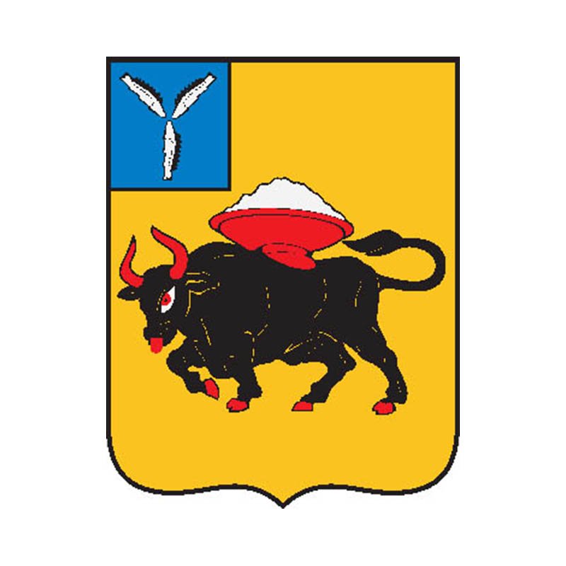 Engels City Coat Of Arms N37 A4 Photo Print