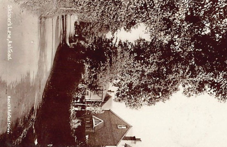 England Ashtead Sy Skinners Lane Vintage A4 Photo Print