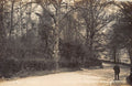 England Belvedere Lower Park Rd Vintage A4 Photo Print