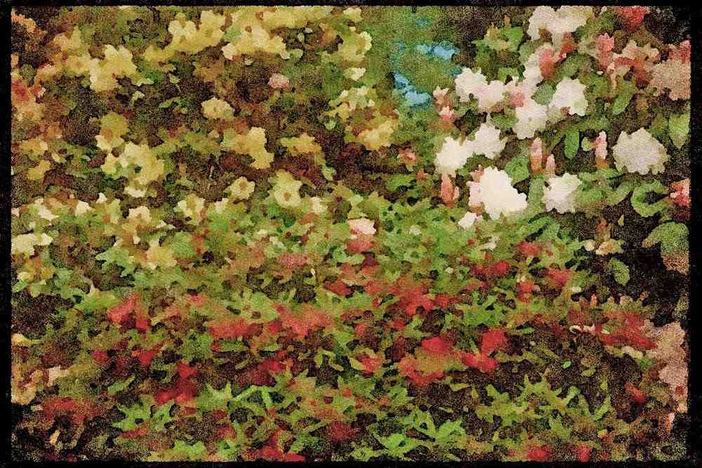 England Countryside 298020 Rhododendrons A4 Limited Edition Watercolour Print