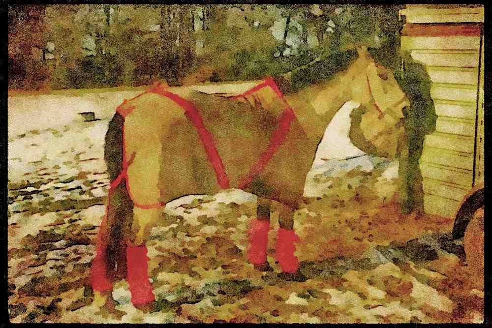 England Countryside 298027 Horse A4 Limited Edition Watercolour Print