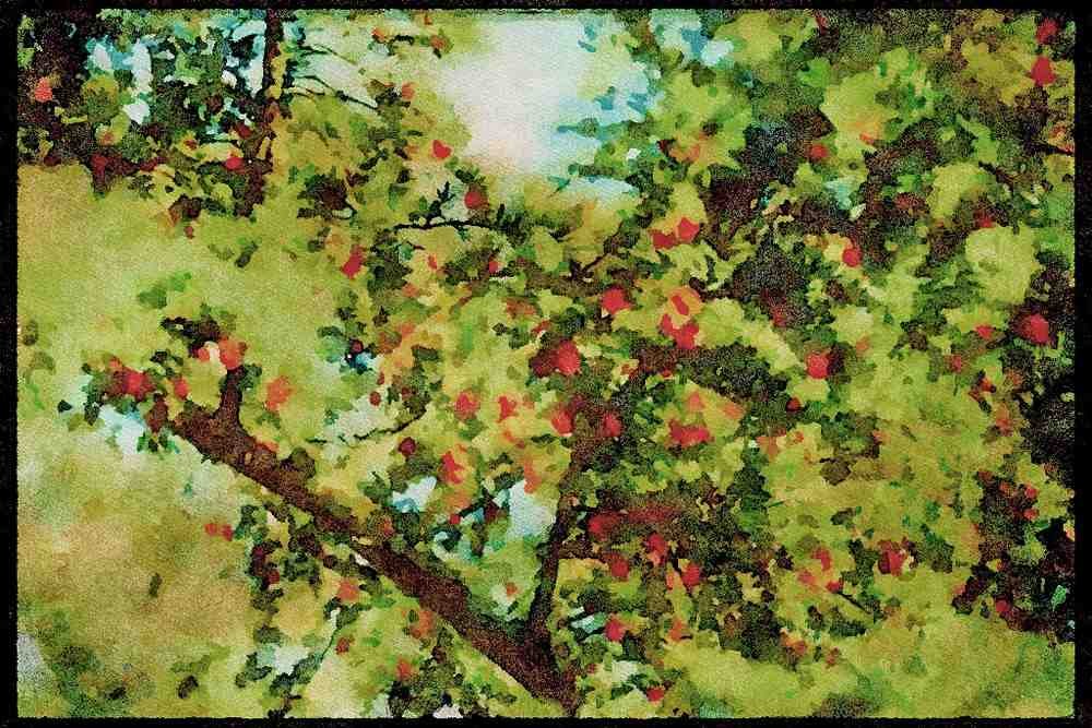 England Countryside 298039 Cyprus Tree Berries A4 Limited Edition Watercolour Print