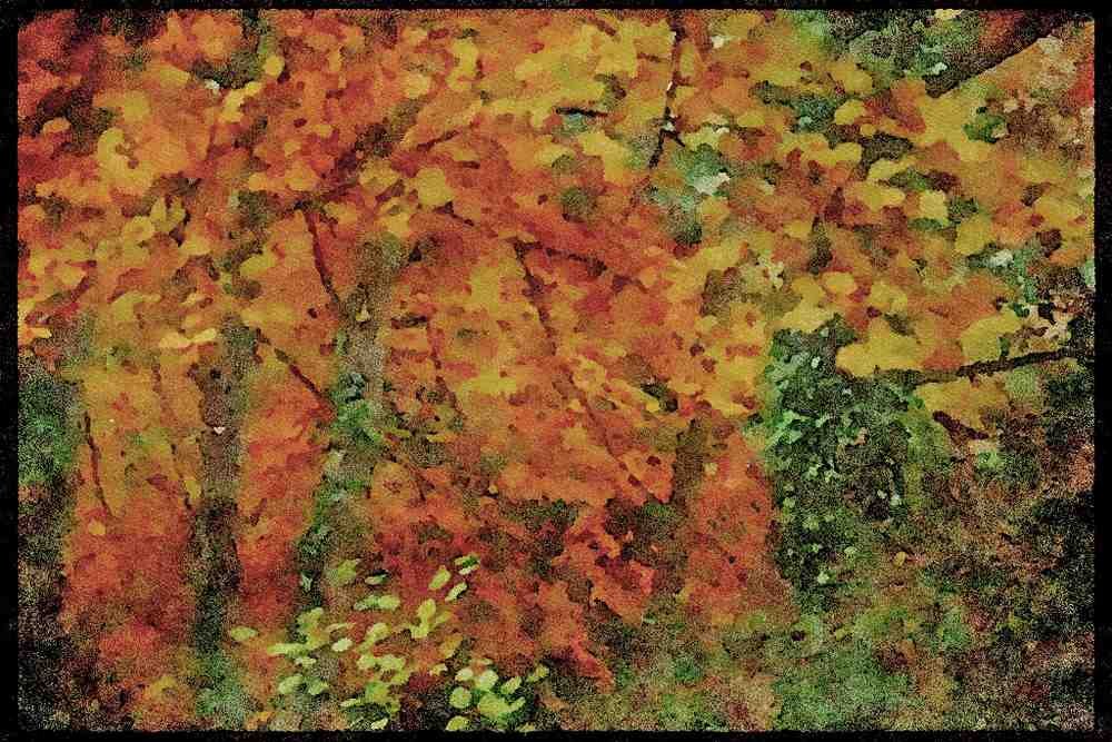 England Countryside 298042 Autumn Scene, Dartmore A4 Limited Edition Watercolour Print