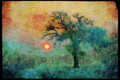 England Countryside 298054 Winter Sunset And Tree A4 Limited Edition Watercolour Print
